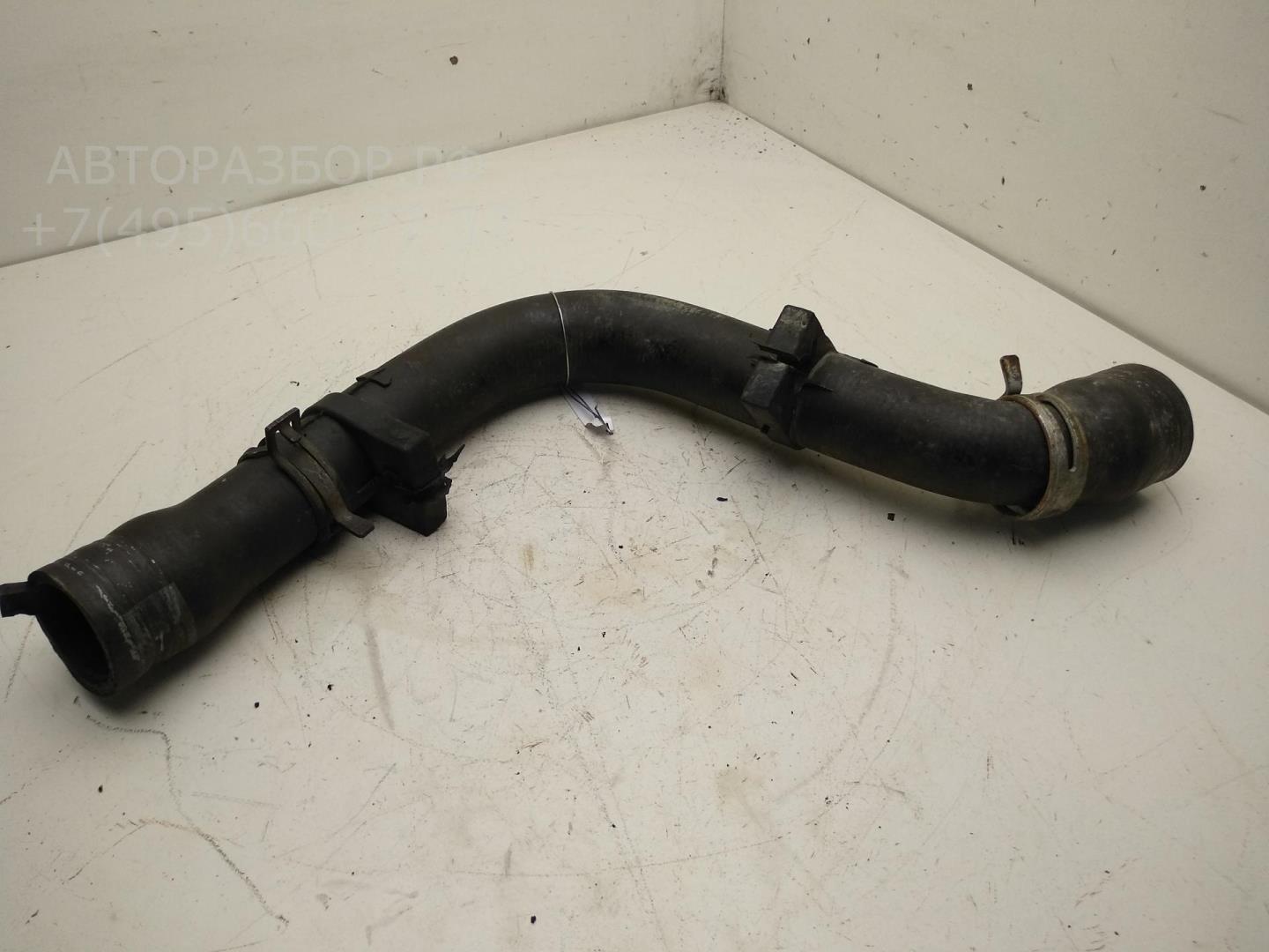 Патрубок радиатора