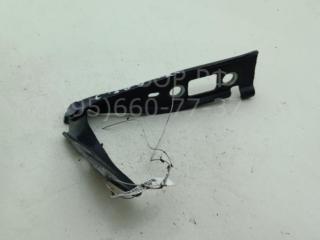 Петля капота правая