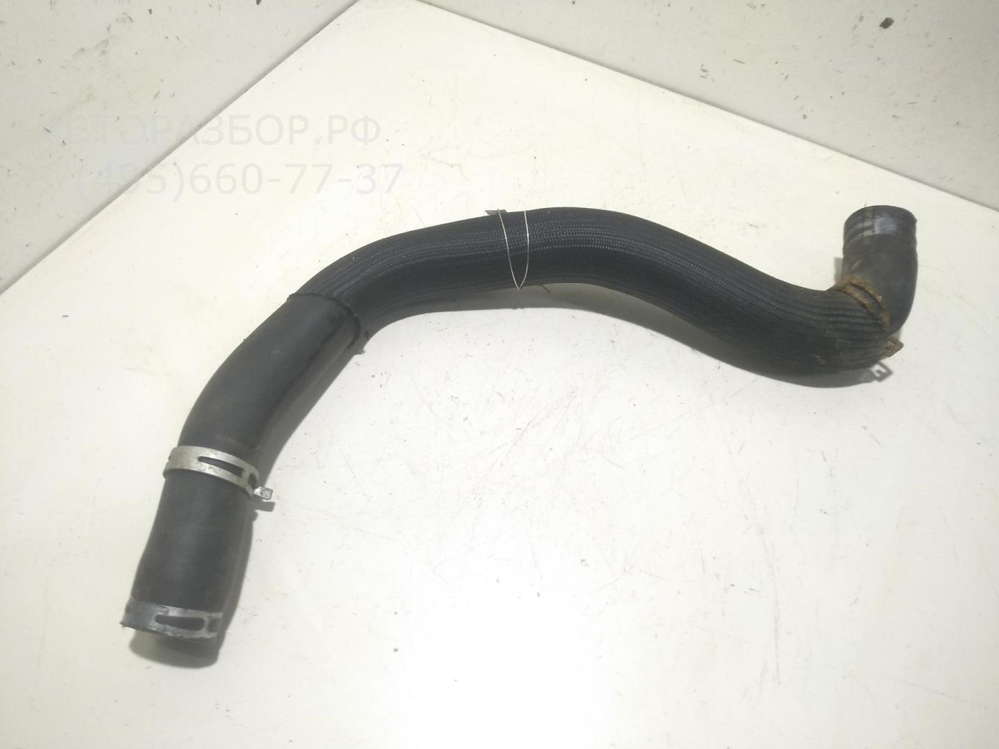 Патрубок радиатора