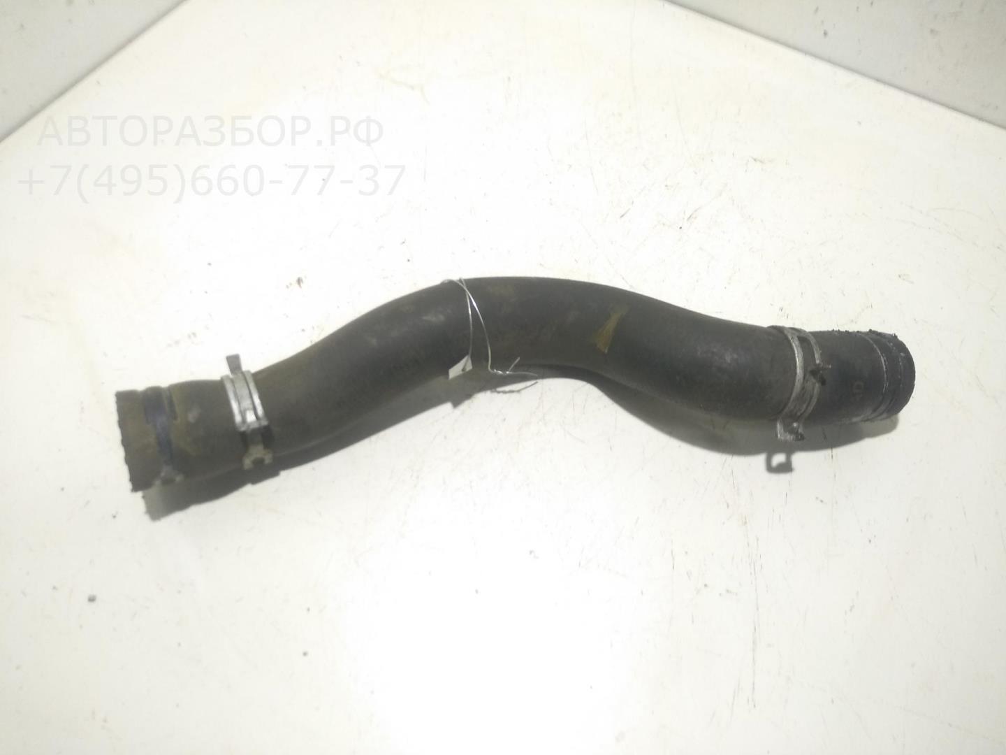 Патрубок радиатора