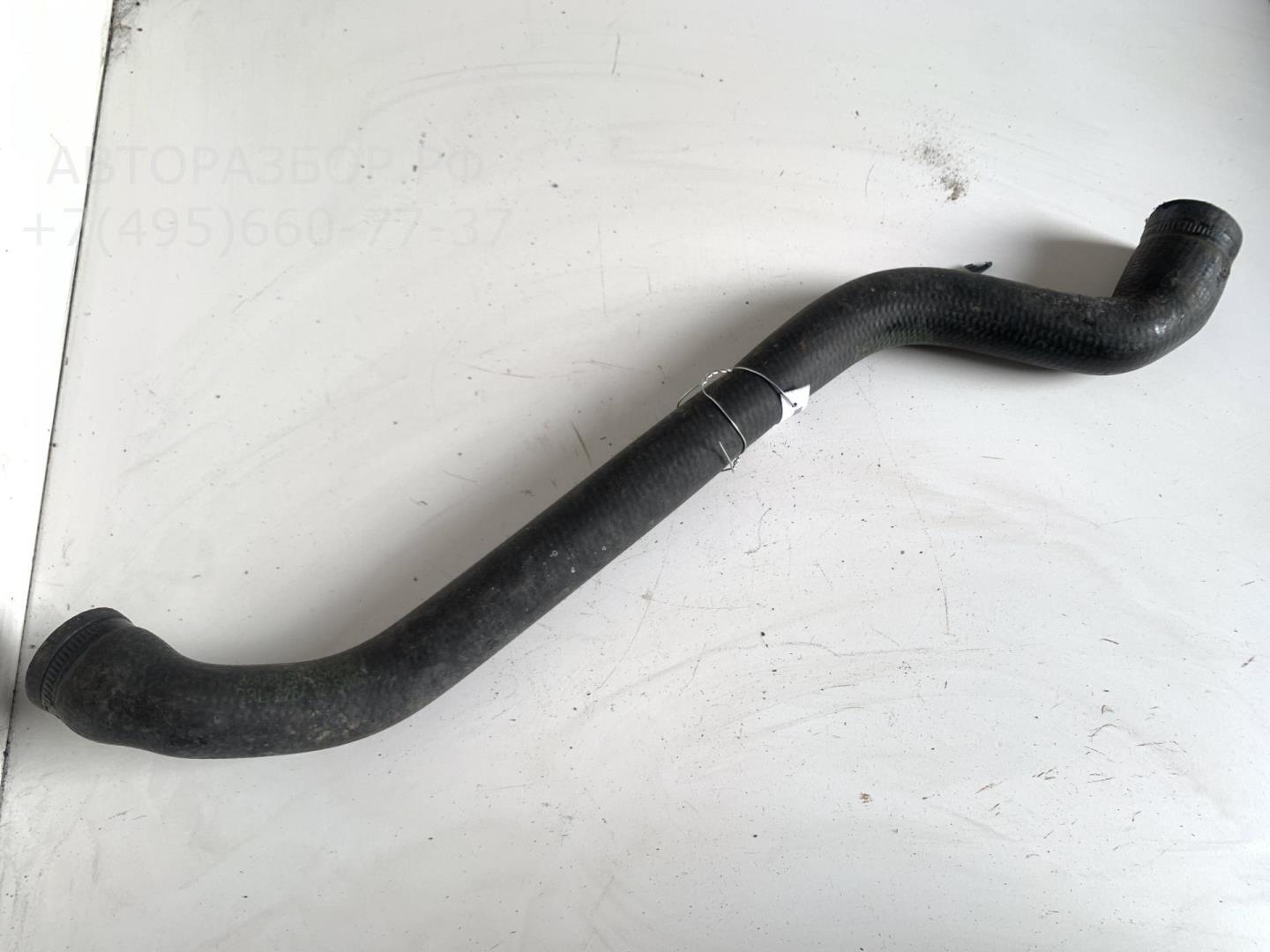 Патрубок радиатора