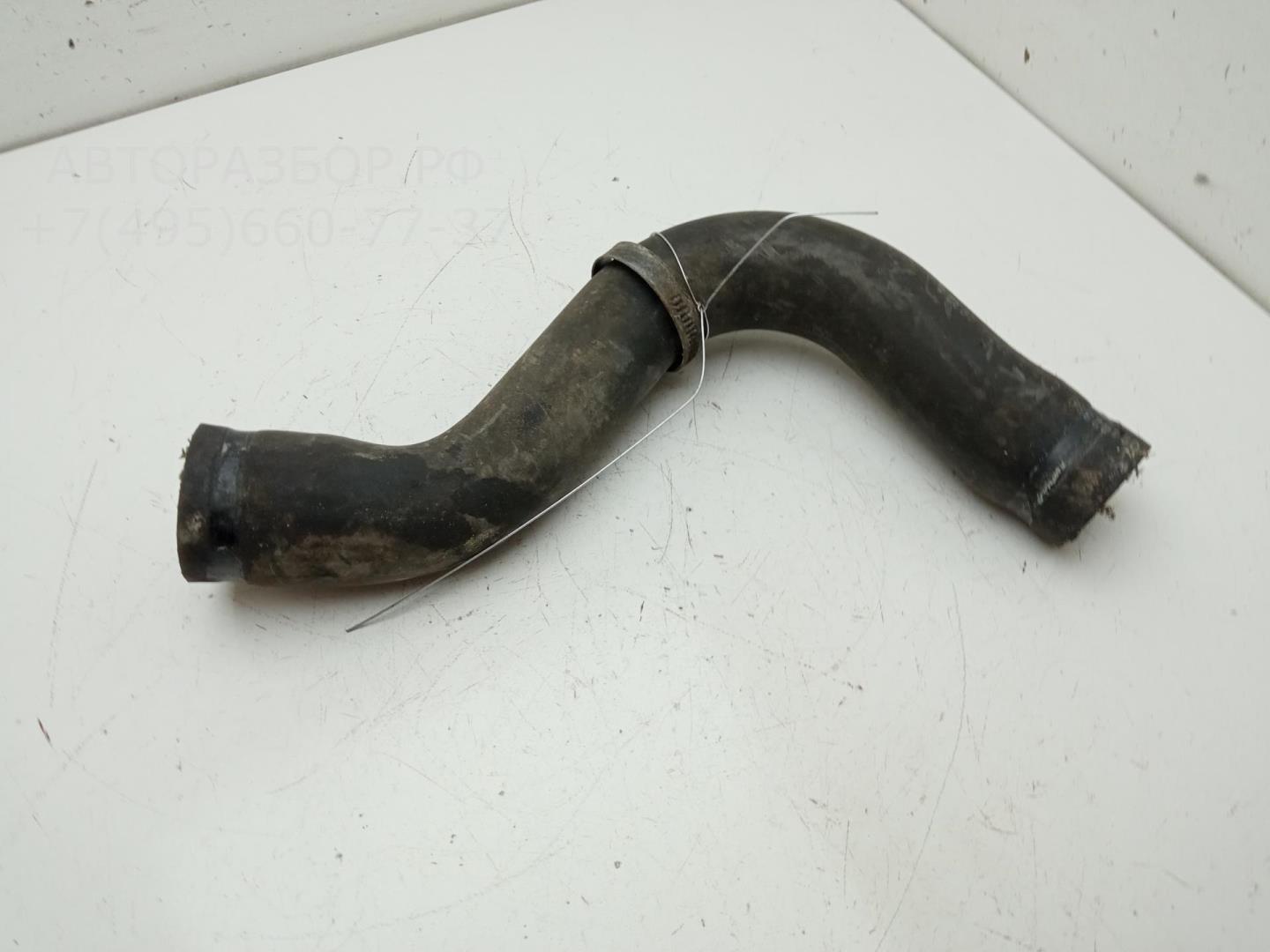 Патрубок радиатора