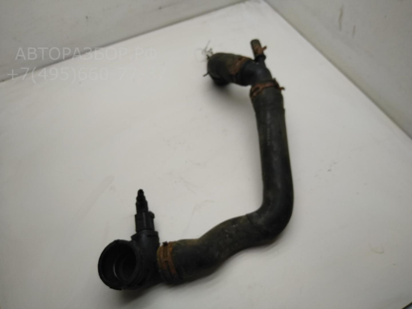 Патрубок радиатора