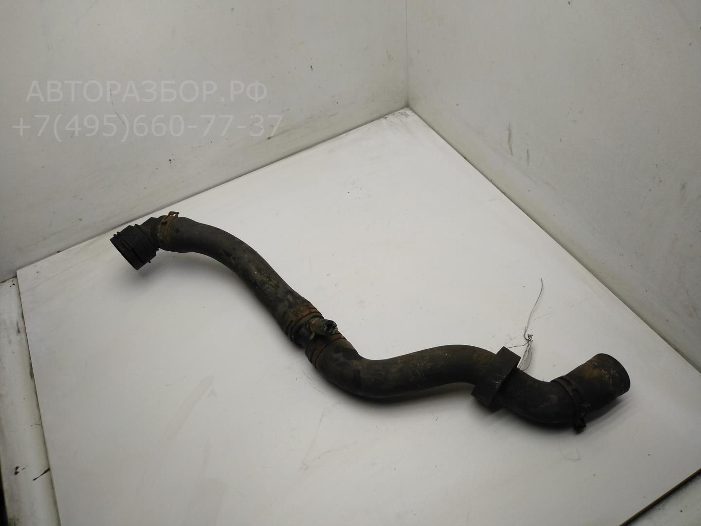 Патрубок радиатора