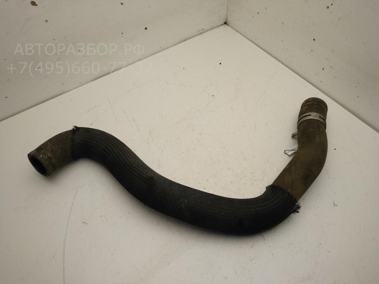 Патрубок радиатора