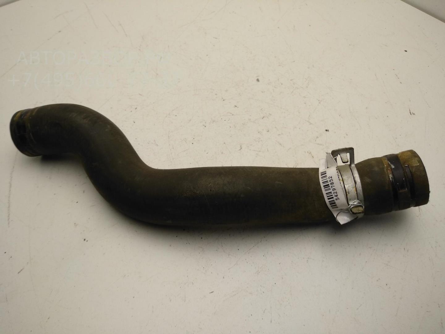 Патрубок радиатора