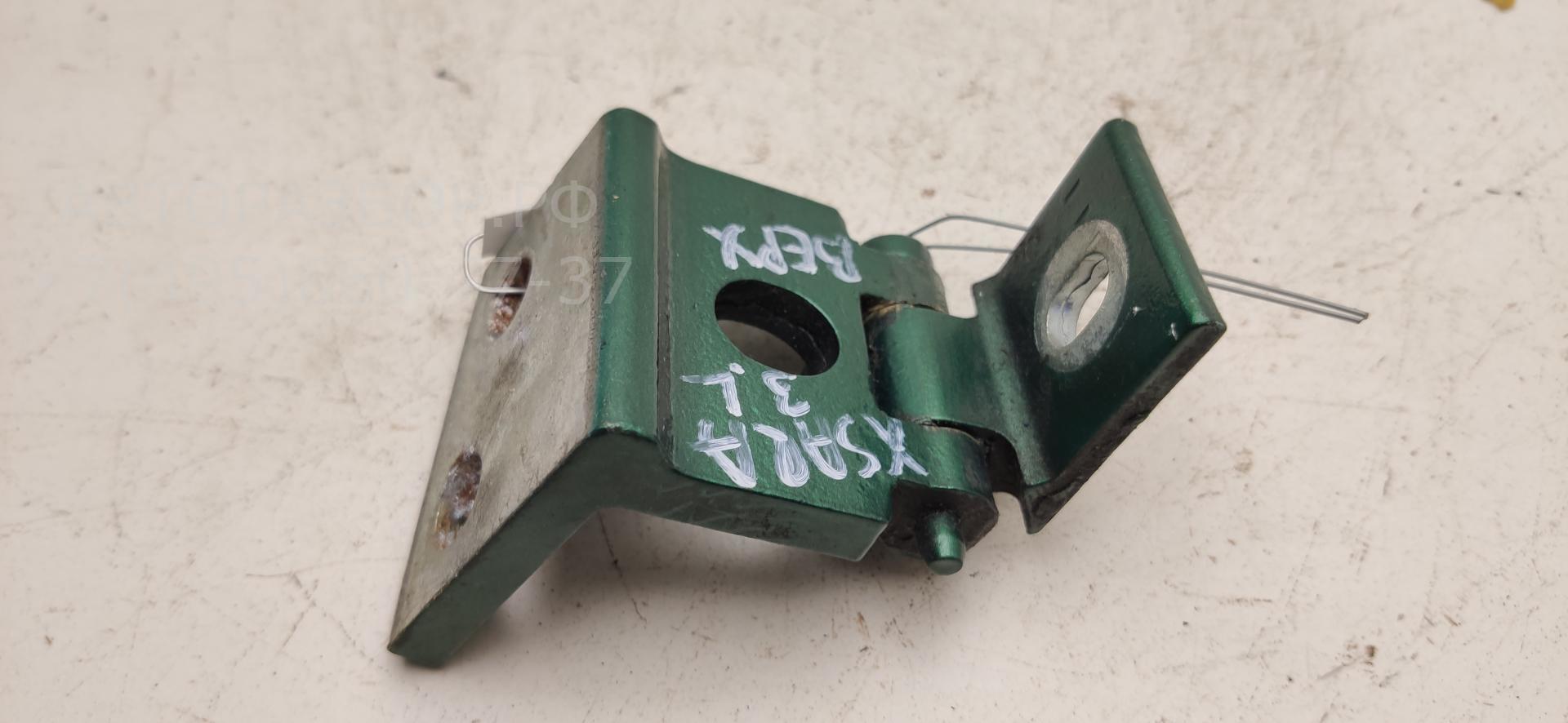 Петля двери