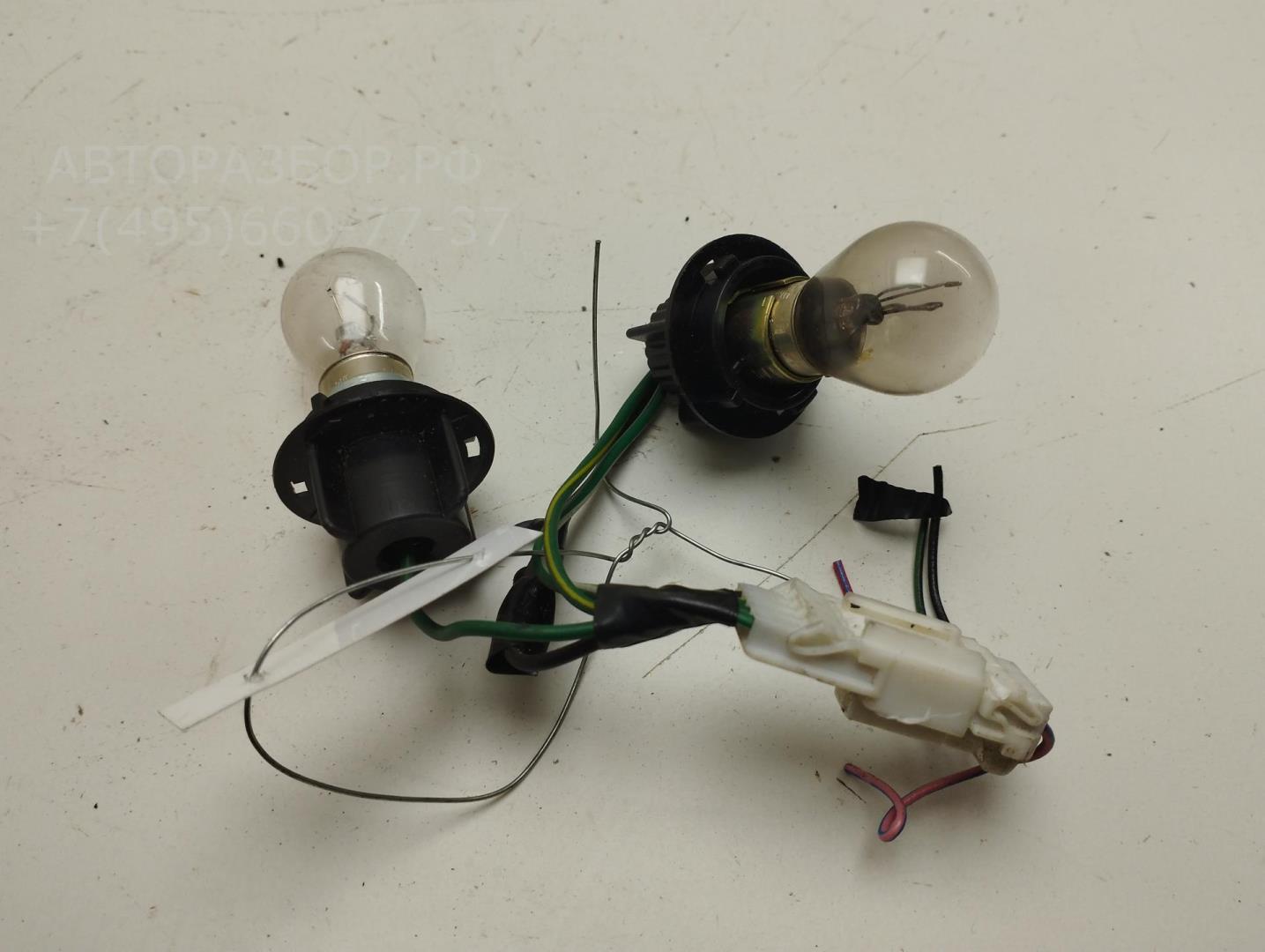 Патрон лампы