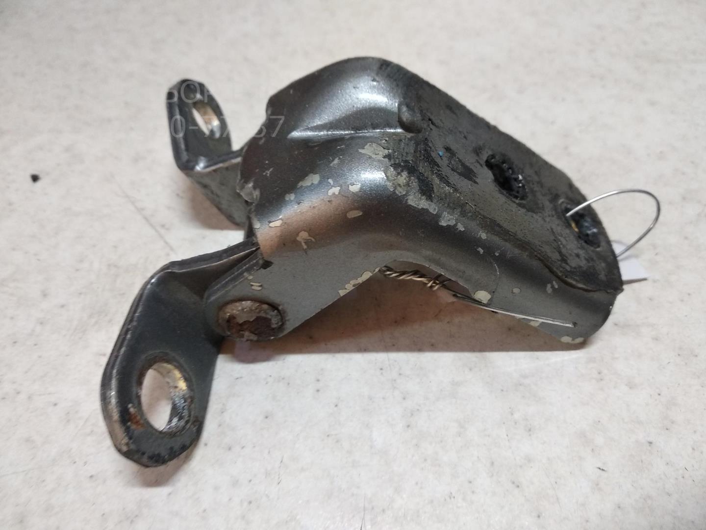 Петля двери