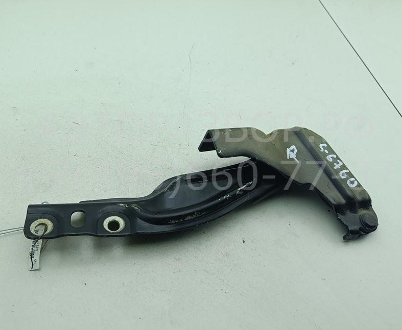 Петля капота правая