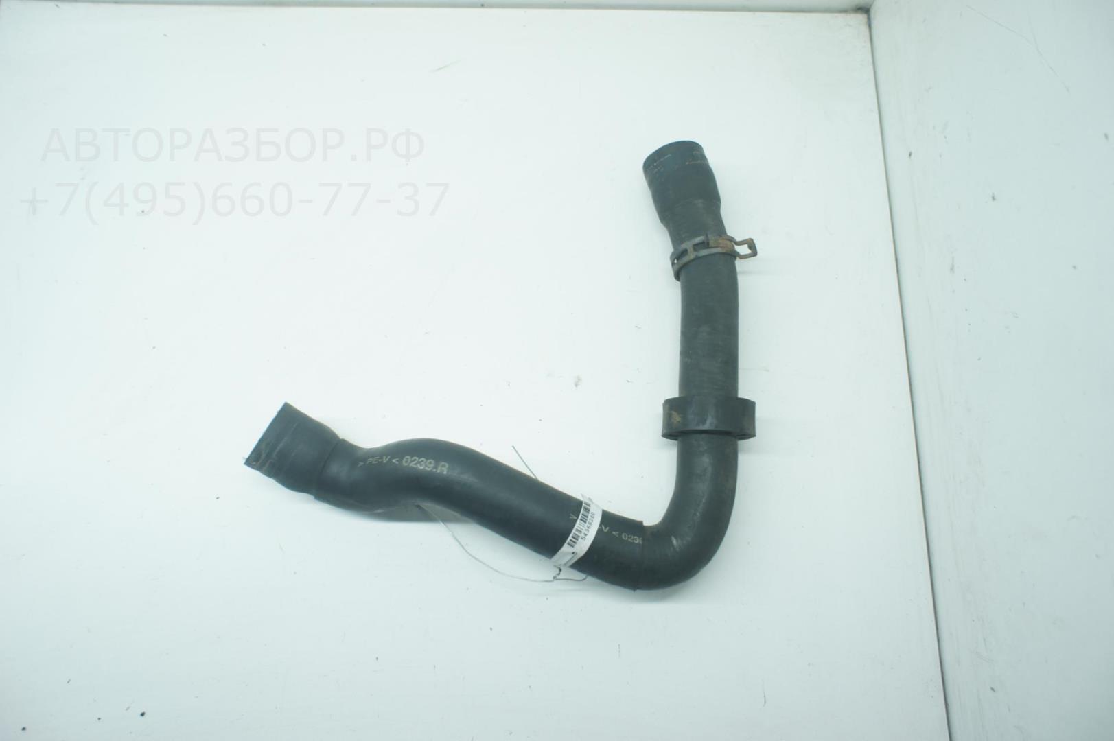 Патрубок радиатора