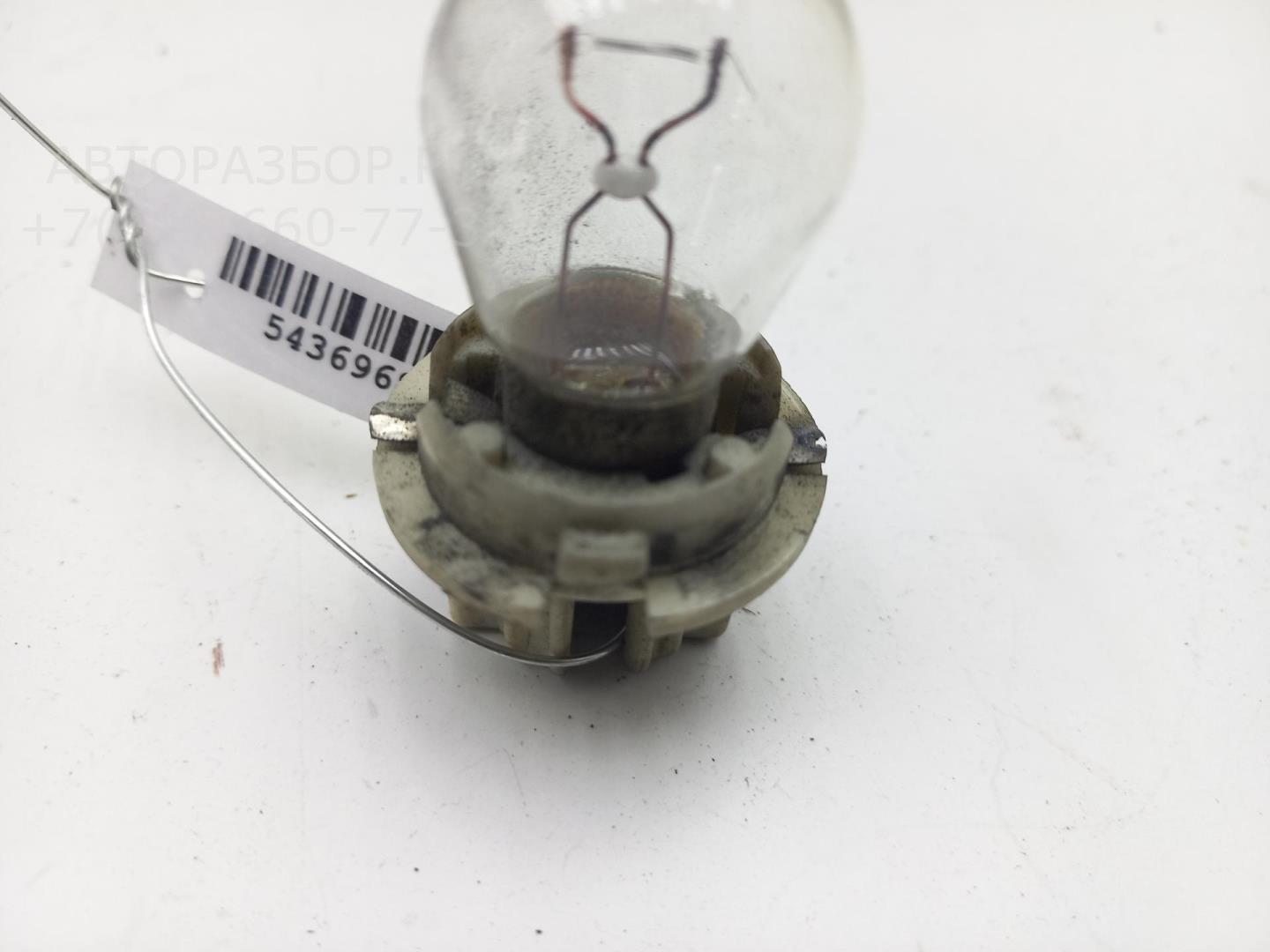 Патрон лампы