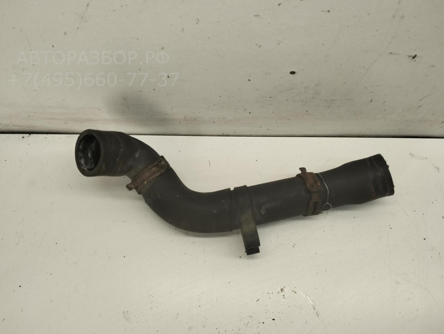 Патрубок радиатора