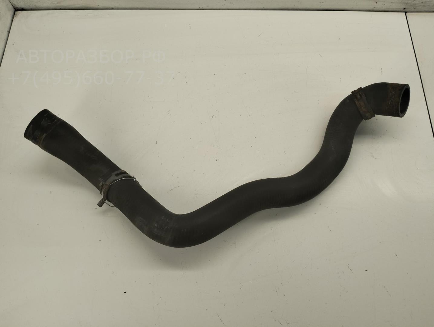 Патрубок радиатора