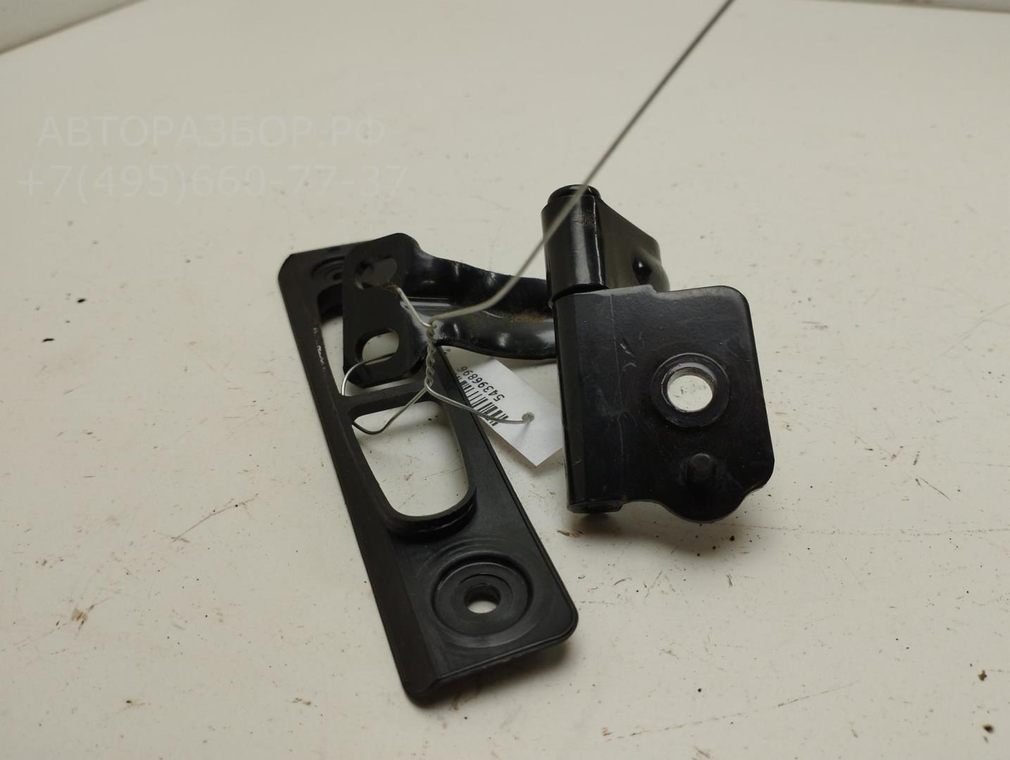 Петля крышки багажника