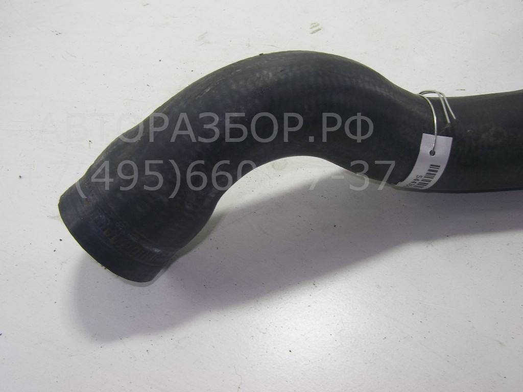 Патрубок радиатора