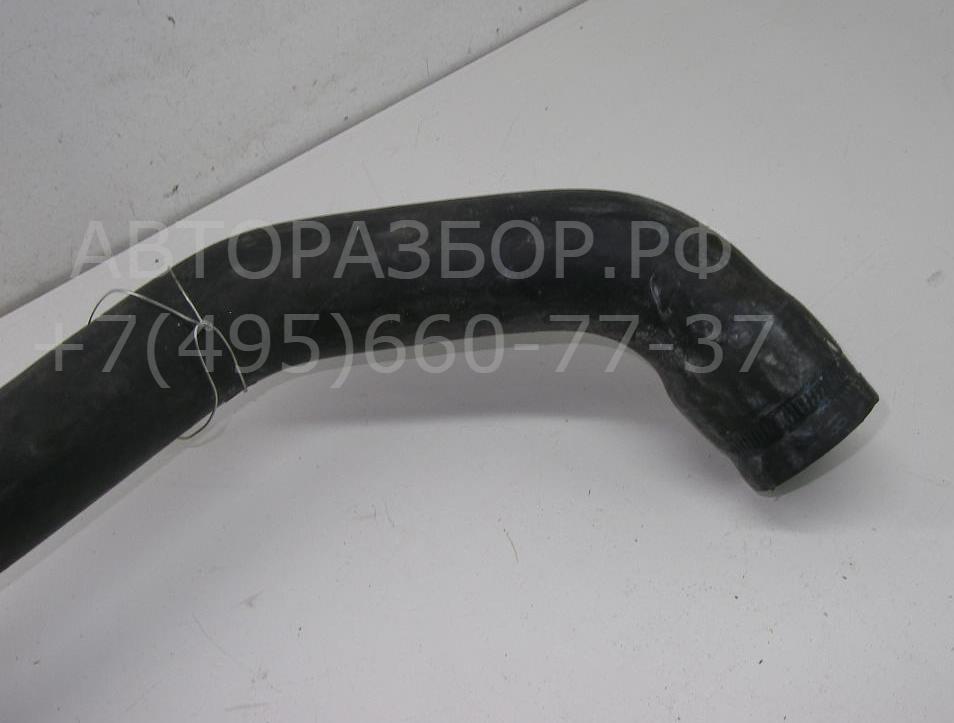 Патрубок радиатора