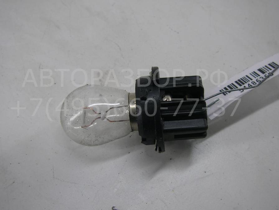 Патрон лампы