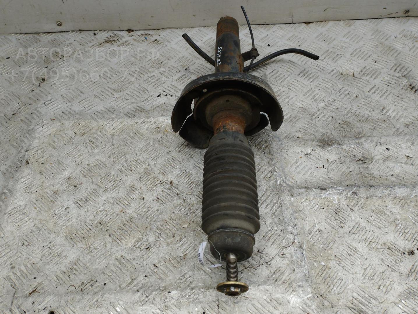 Амортизатор передний правый