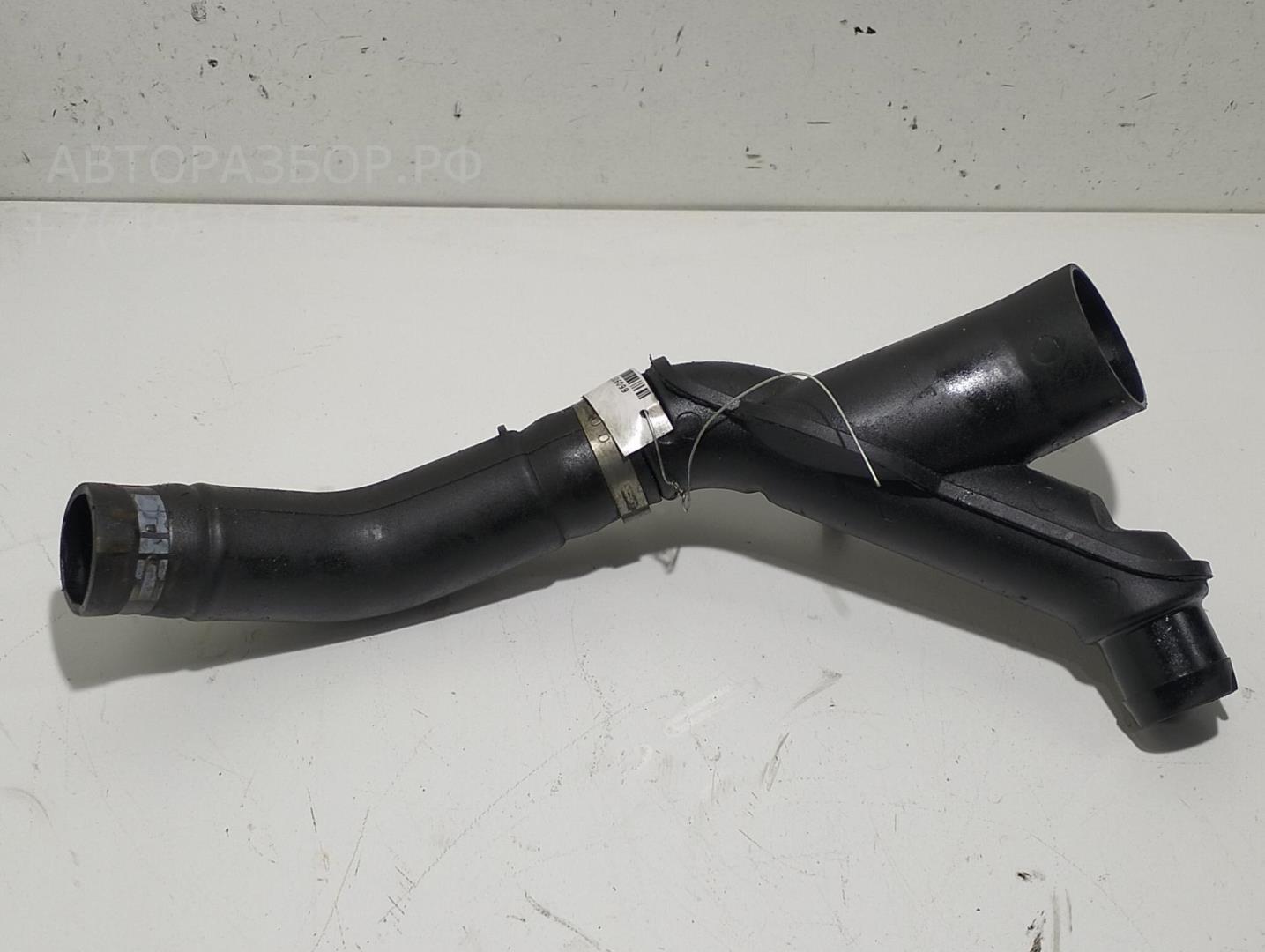 Маслозаливная горловина