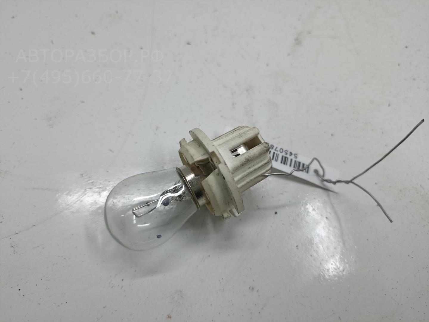 Патрон лампы