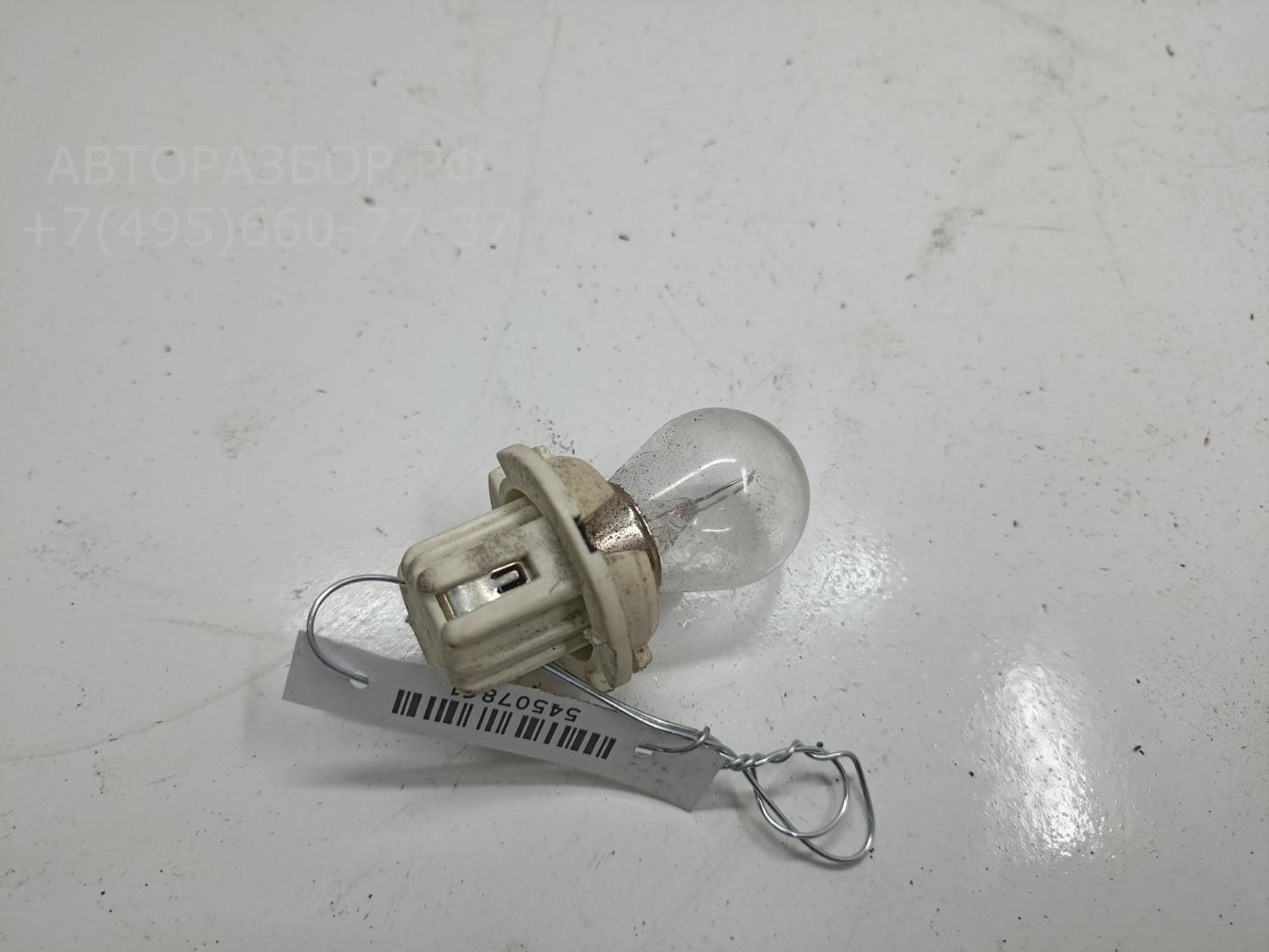 Патрон лампы