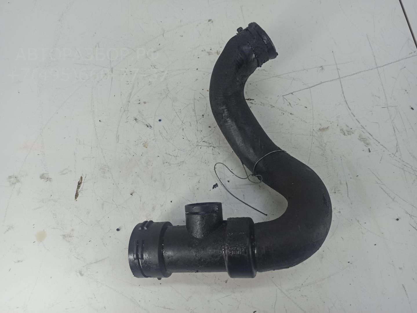 Патрубок радиатора
