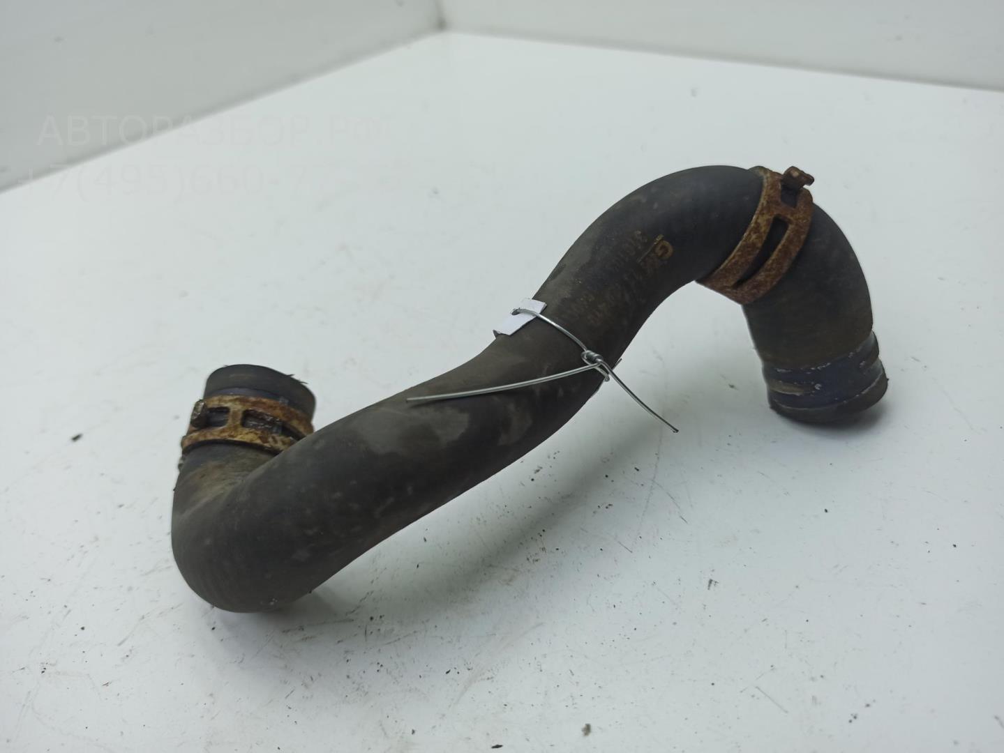 Патрубок радиатора