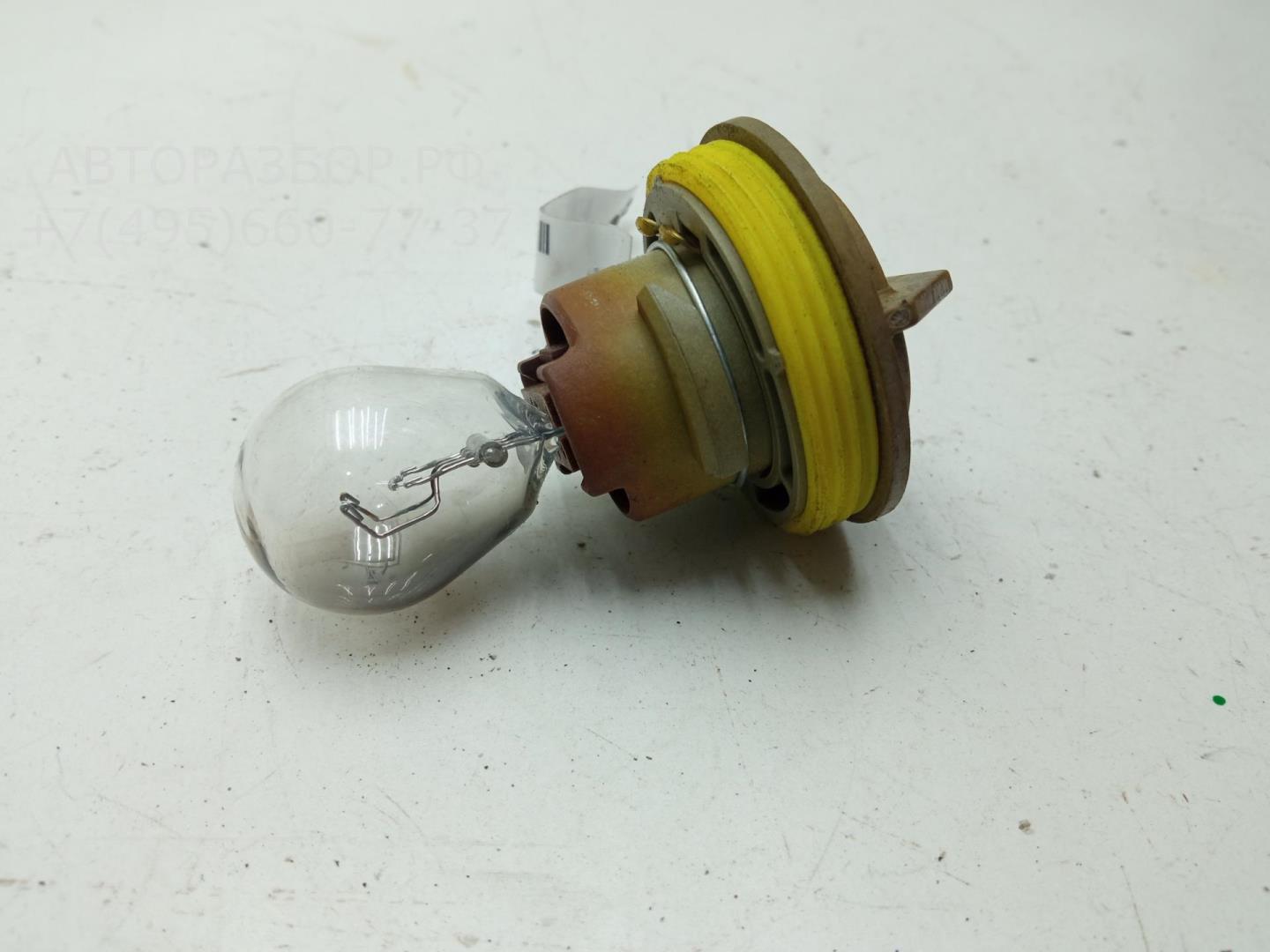 Патрон лампы