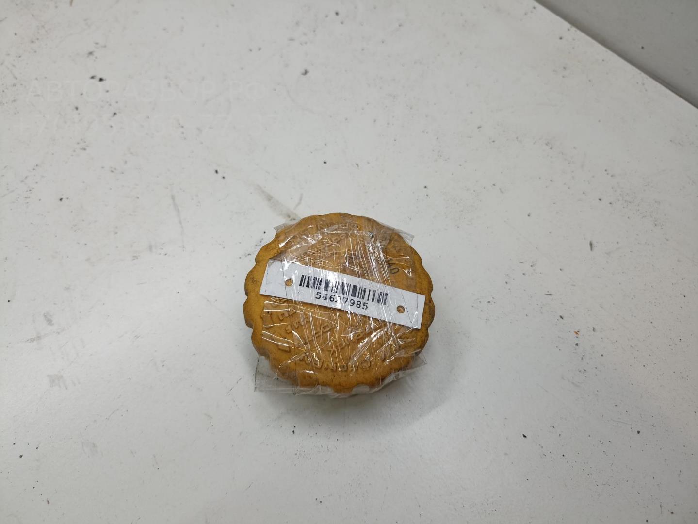 Крышка расширительного бачка