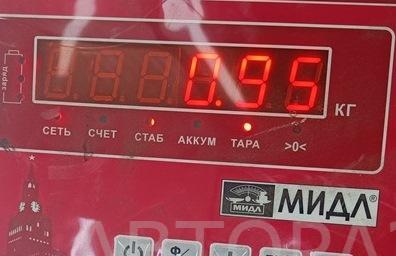 Решетка стеклоочистителей (Жабо)