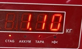 Амортизатор задний левый