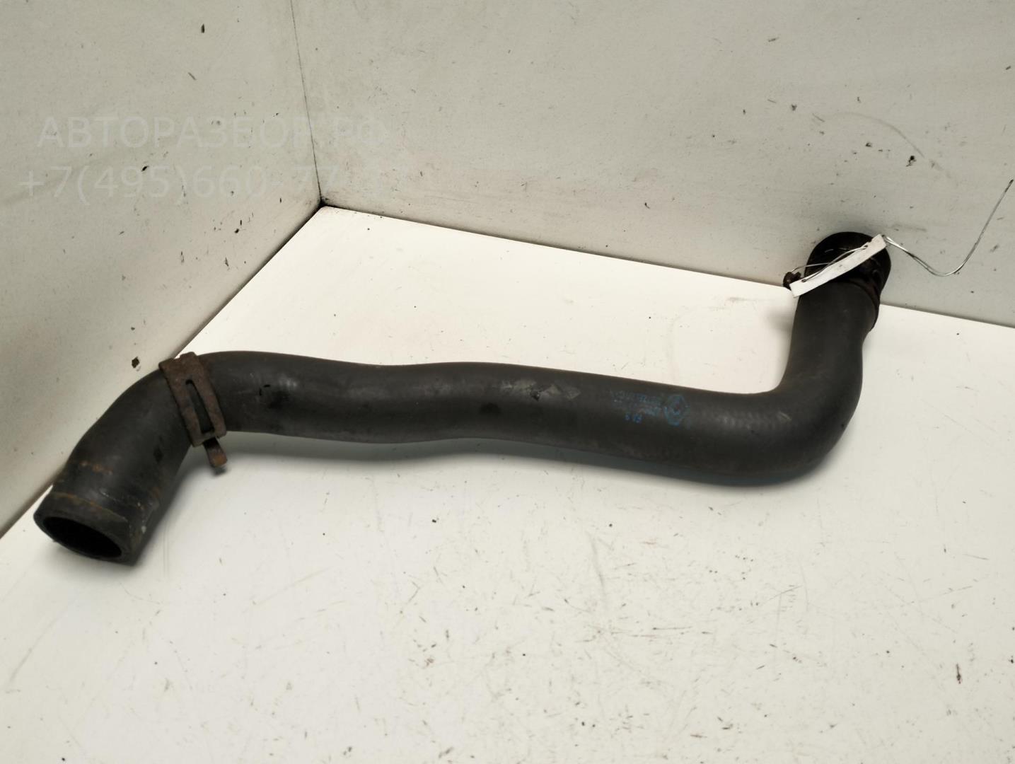 Патрубок радиатора