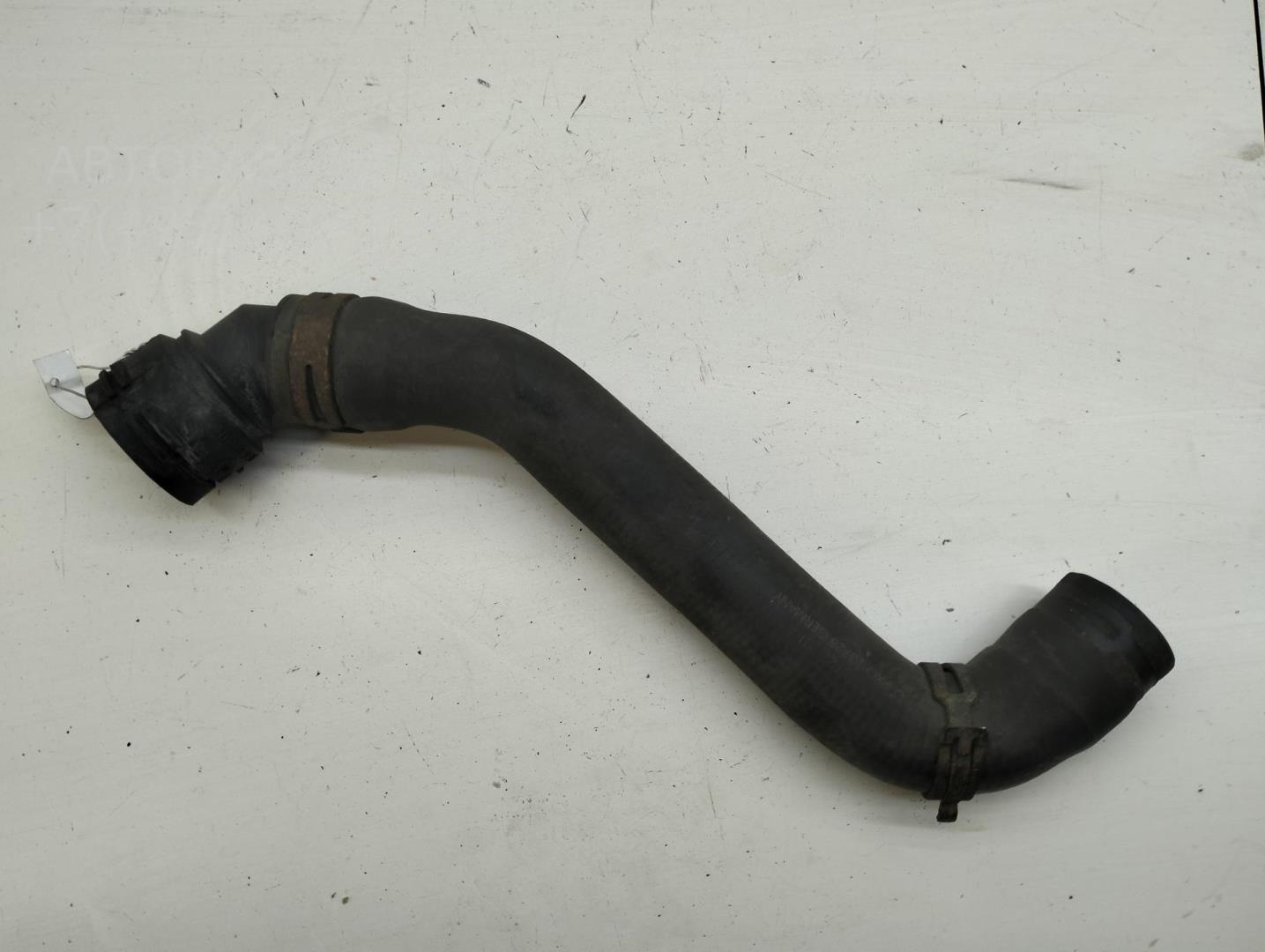 Патрубок радиатора