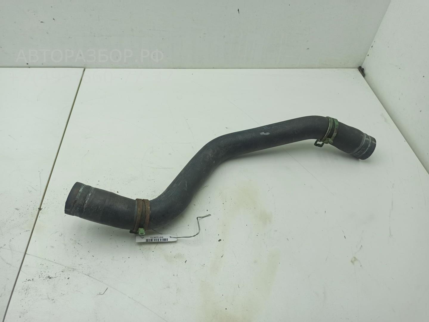 Патрубок радиатора