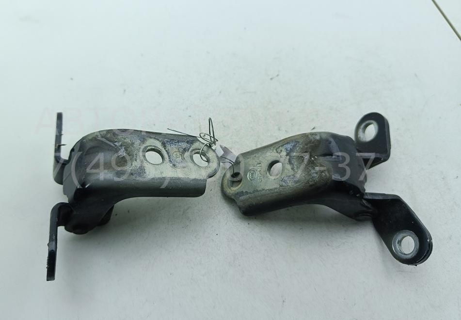 Петля двери