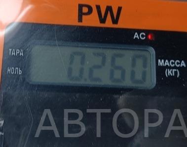 Плафон салонный