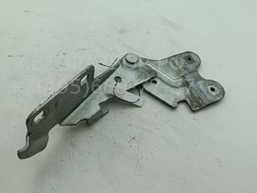 Петля капота правая