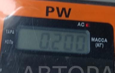 Плафон салонный