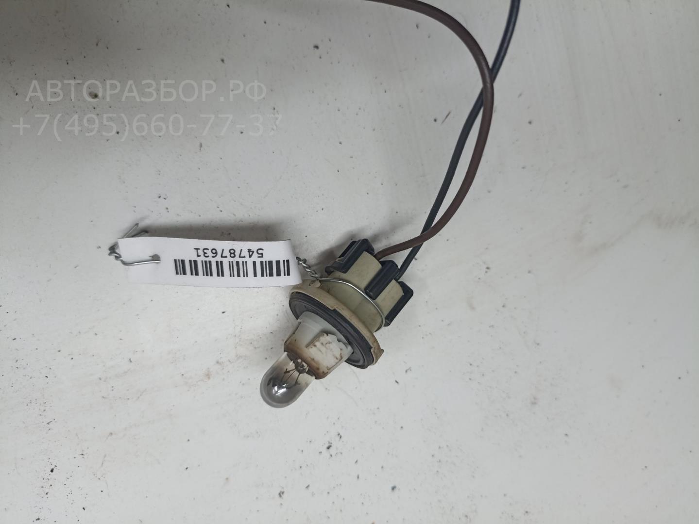 Патрон лампы