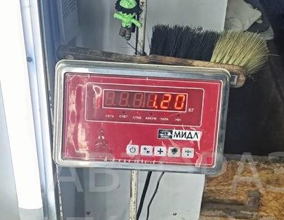 Локер задний правый