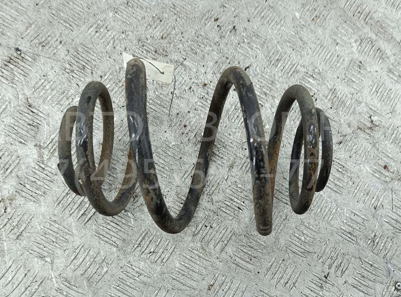 Пружина задняя