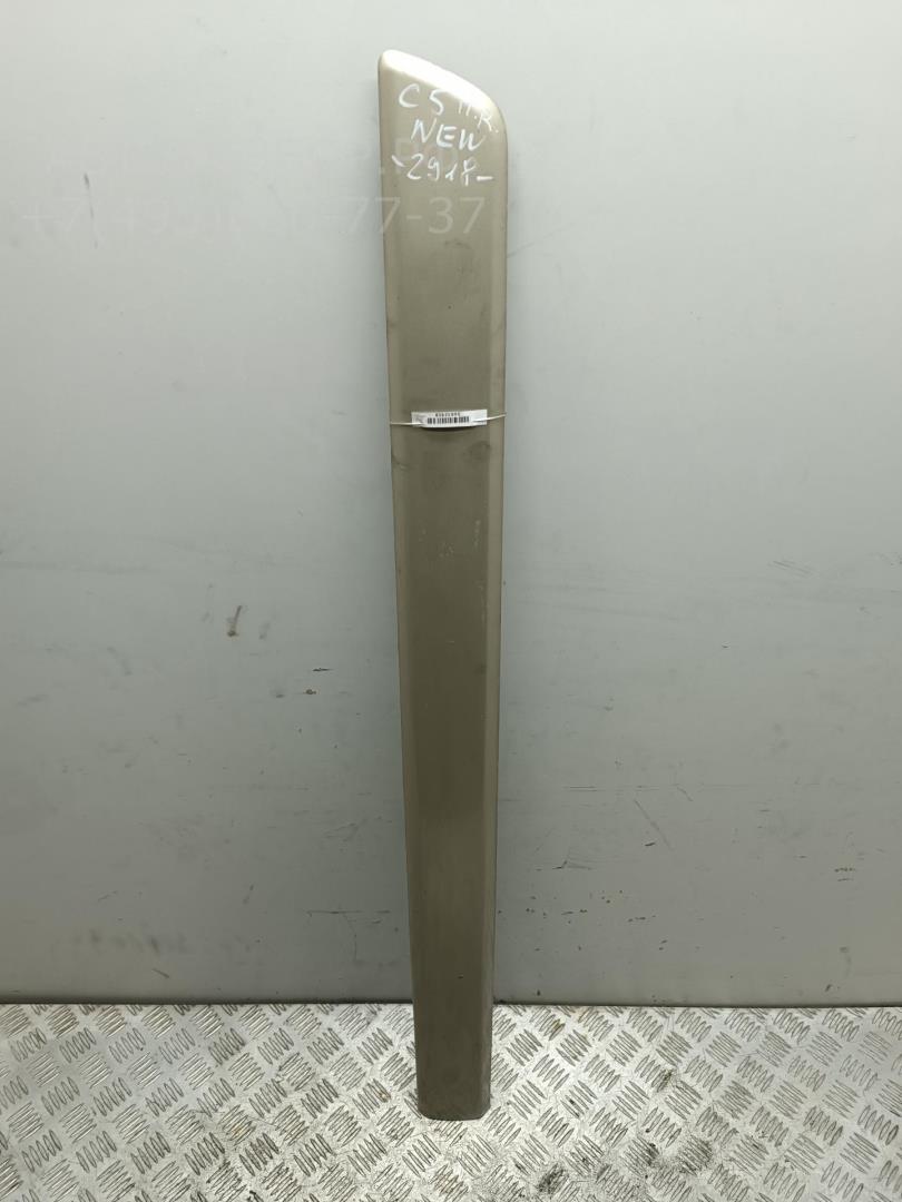 Накладка двери передней правой