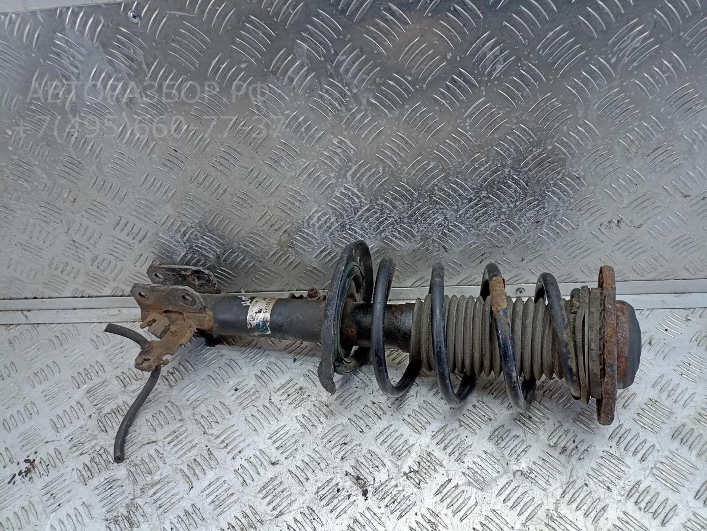 Амортизатор передний правый