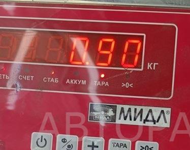 Решетка стеклоочистителей (Жабо)