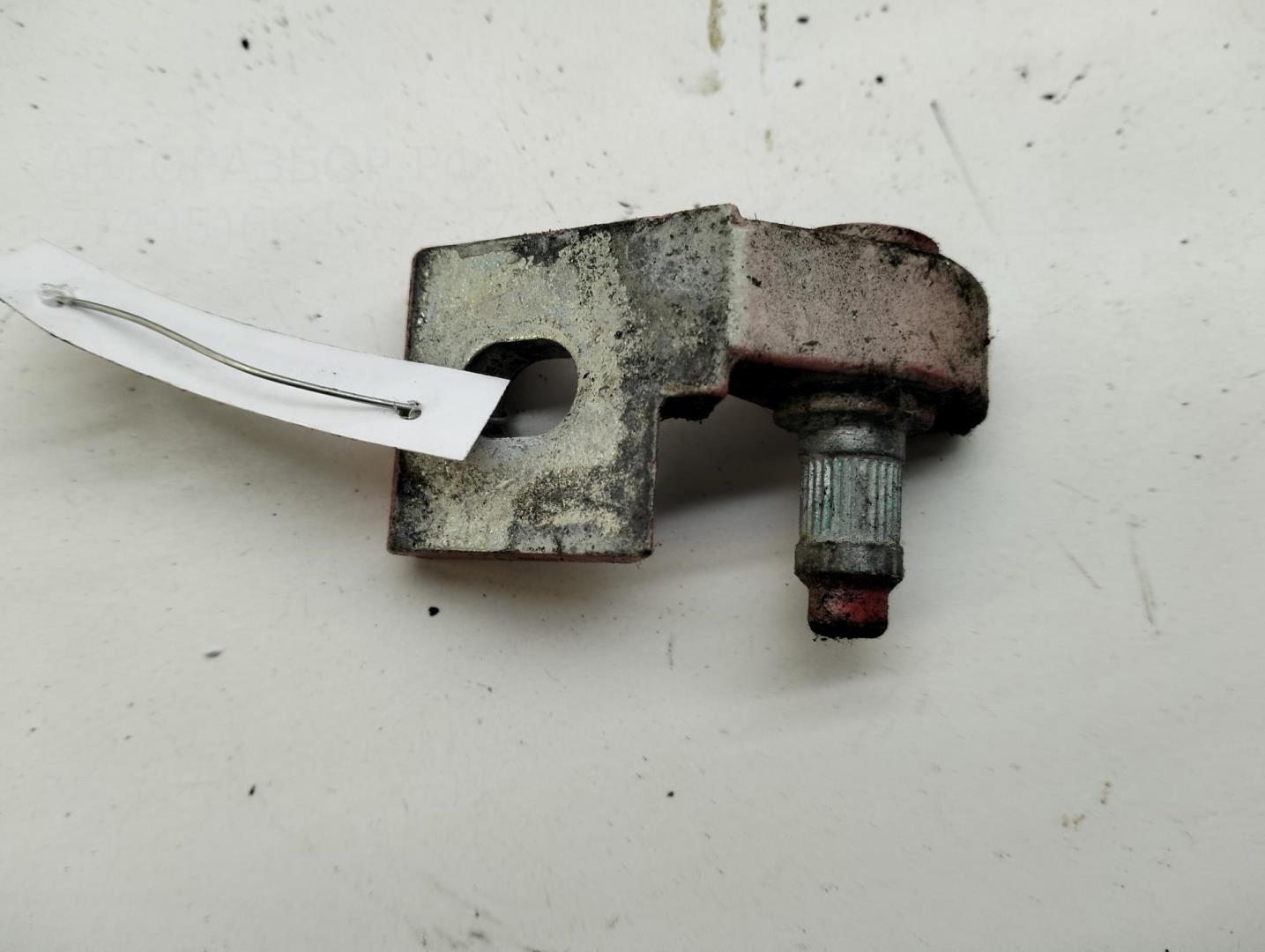 Петля двери