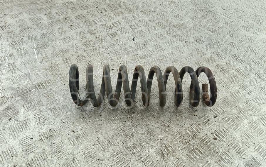 Пружина задняя