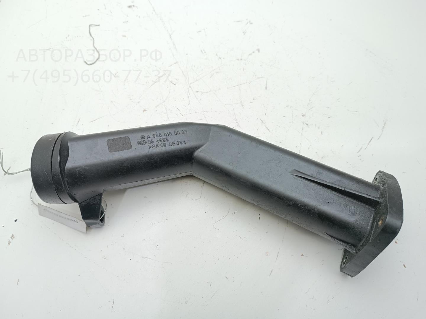 Маслозаливная горловина