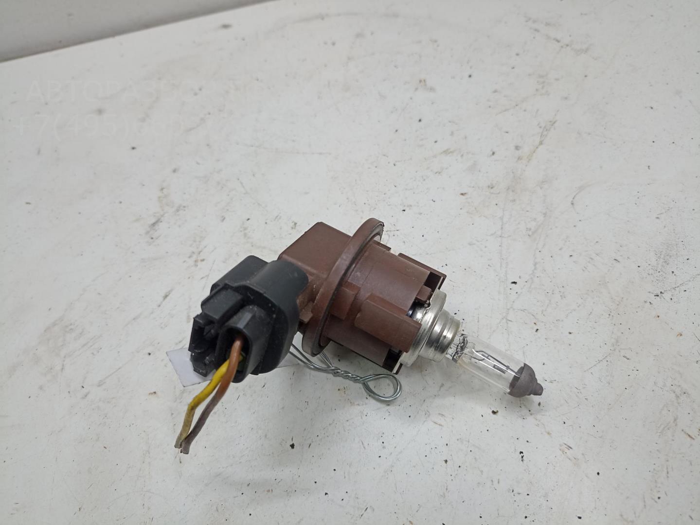 Патрон лампы