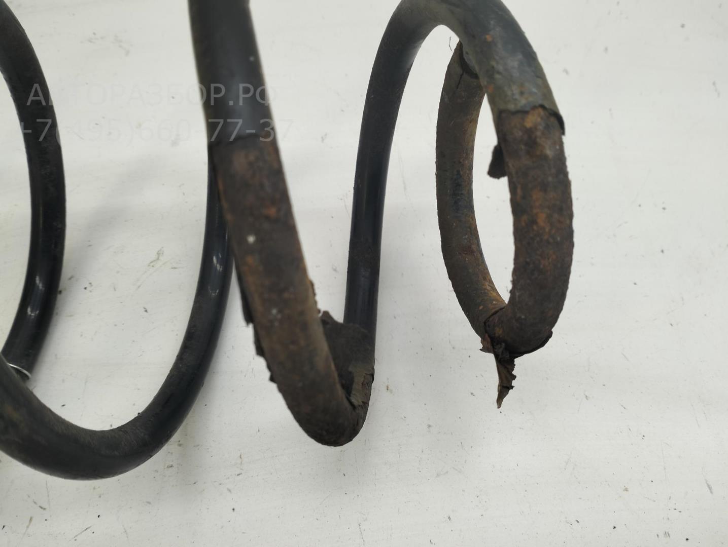 Пружина передняя